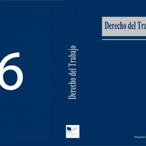 Nº6 Revista Derecho del Trabajo